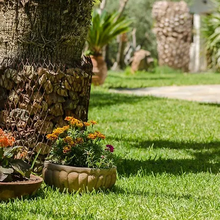 Διαμέρισμα Ta Pefka