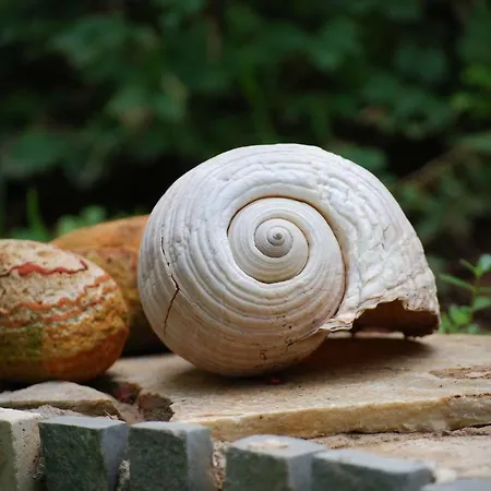 Ta Pefka Διαμέρισμα