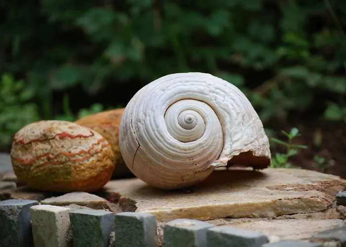 Ta Pefka Appartement